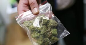 Excellent Outcome Obtained! Non-Conviction for Cannabis Possession